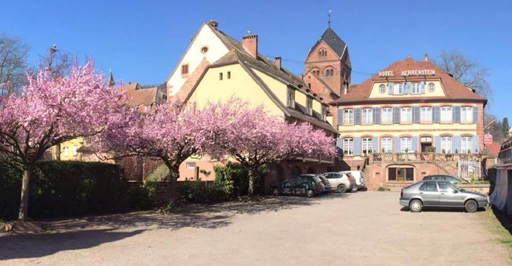 Hotel Du Herrenstein 讷维莱尔－莱萨韦讷 外观 照片